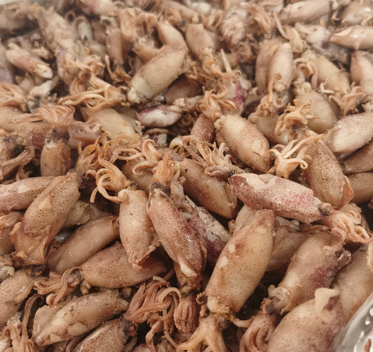 小墨魚(yú)干制品
