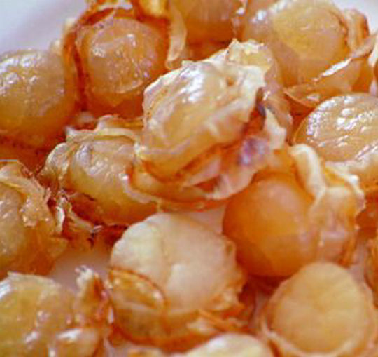 Seasoned Dried Scallops
